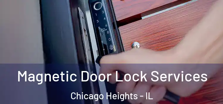 Magnetic Door Lock Services Chicago Heights - IL